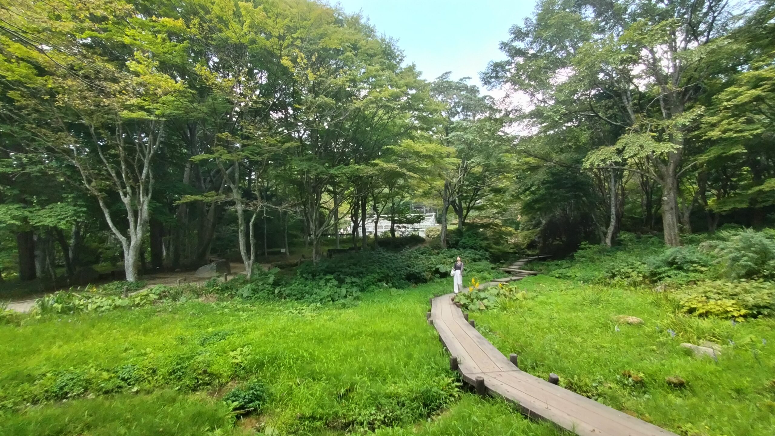 牧野富太郎博士ゆかりの「六甲高山植物園」